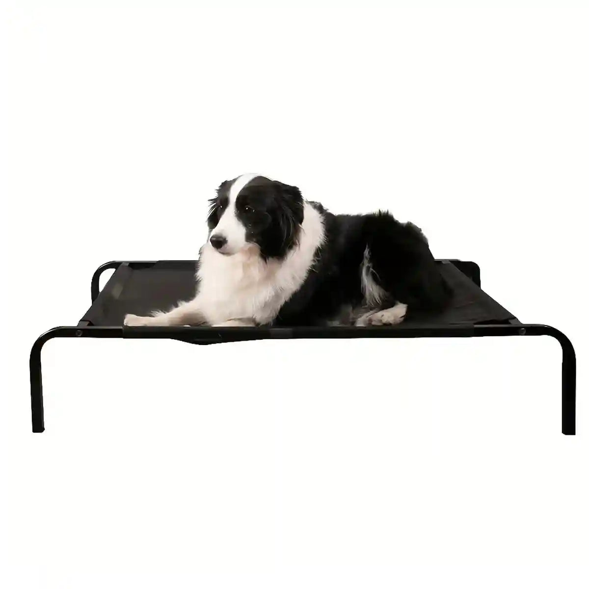 Elevated Breathable Pet Bed for Indoor and Outdoor Use