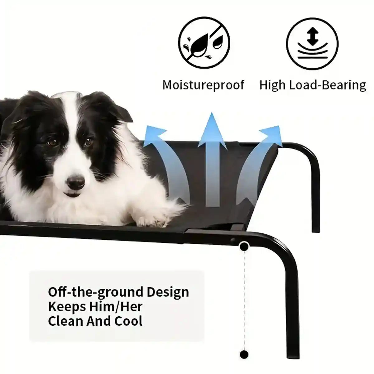 Elevated Breathable Pet Bed for Indoor and Outdoor Use