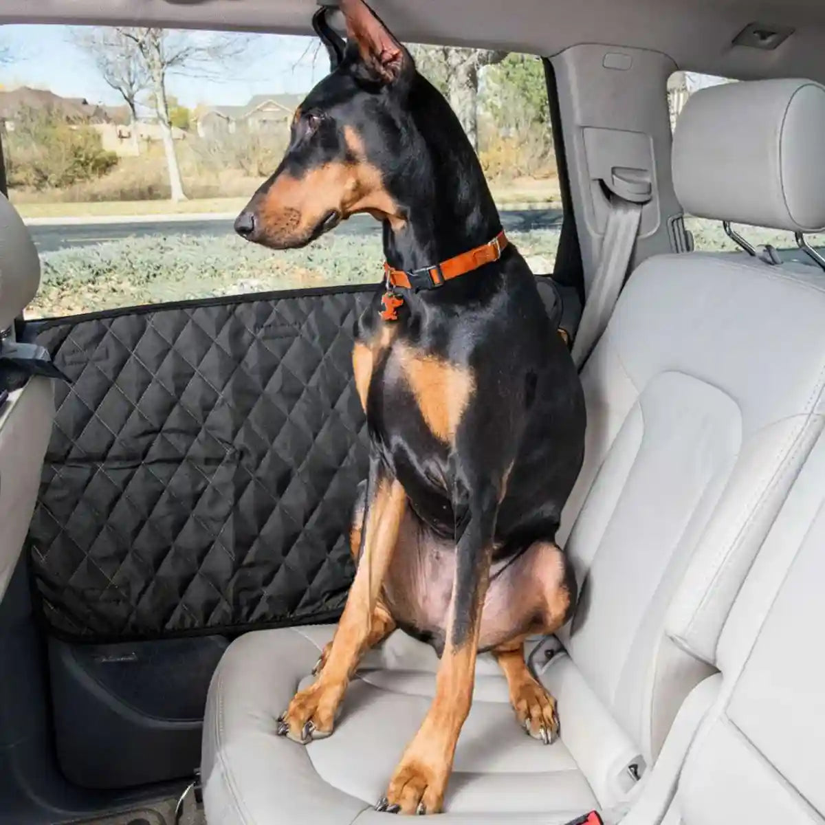 Car Pet Door Cover Protector