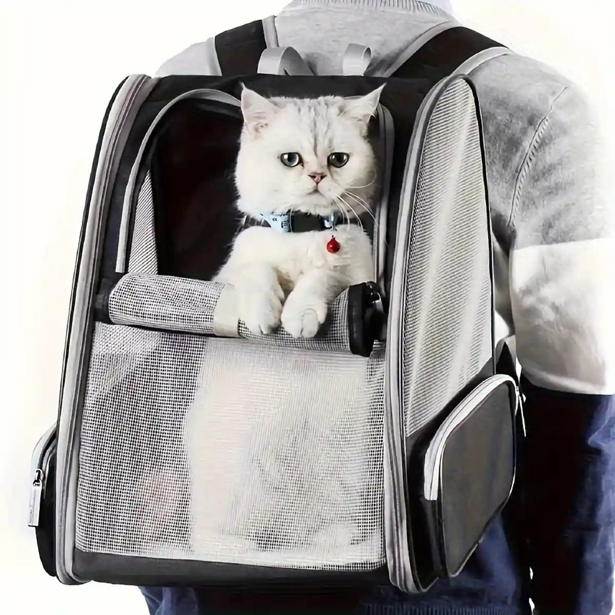 Large Foldable Breathable Portable Cat Dog Bag Pet Backpack