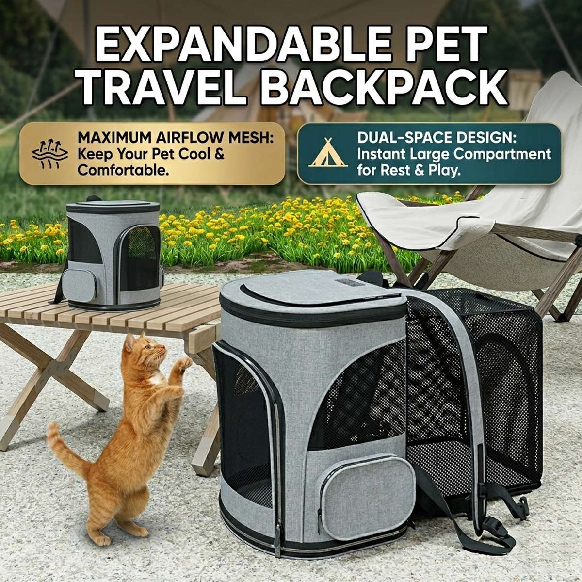 Expandable Pet Travel Backpack - Cat Carrier Bag for Small Dogs