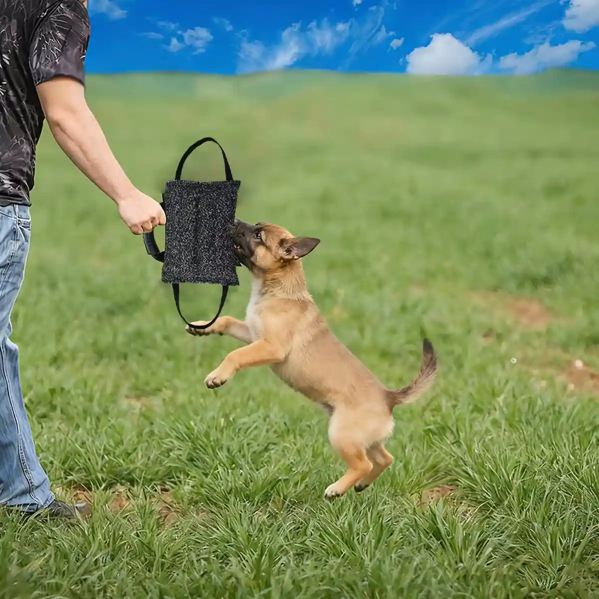 Durable Dog Chew Pillow Tug Toy Interactive Training Tool