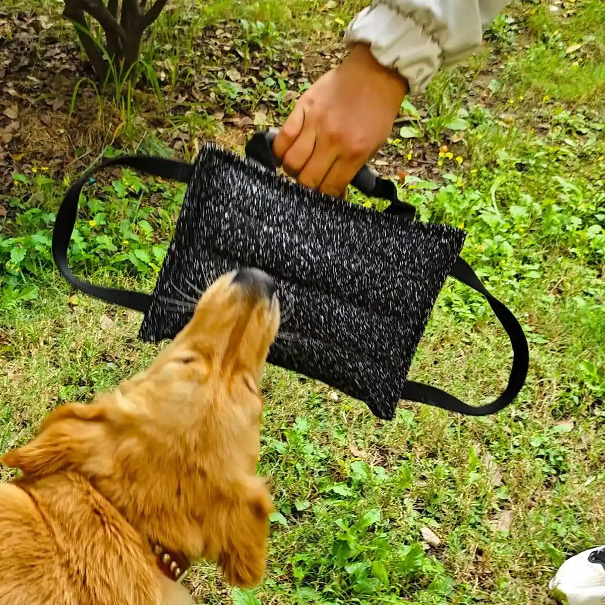 Durable Dog Chew Pillow Tug Toy Interactive Training Tool