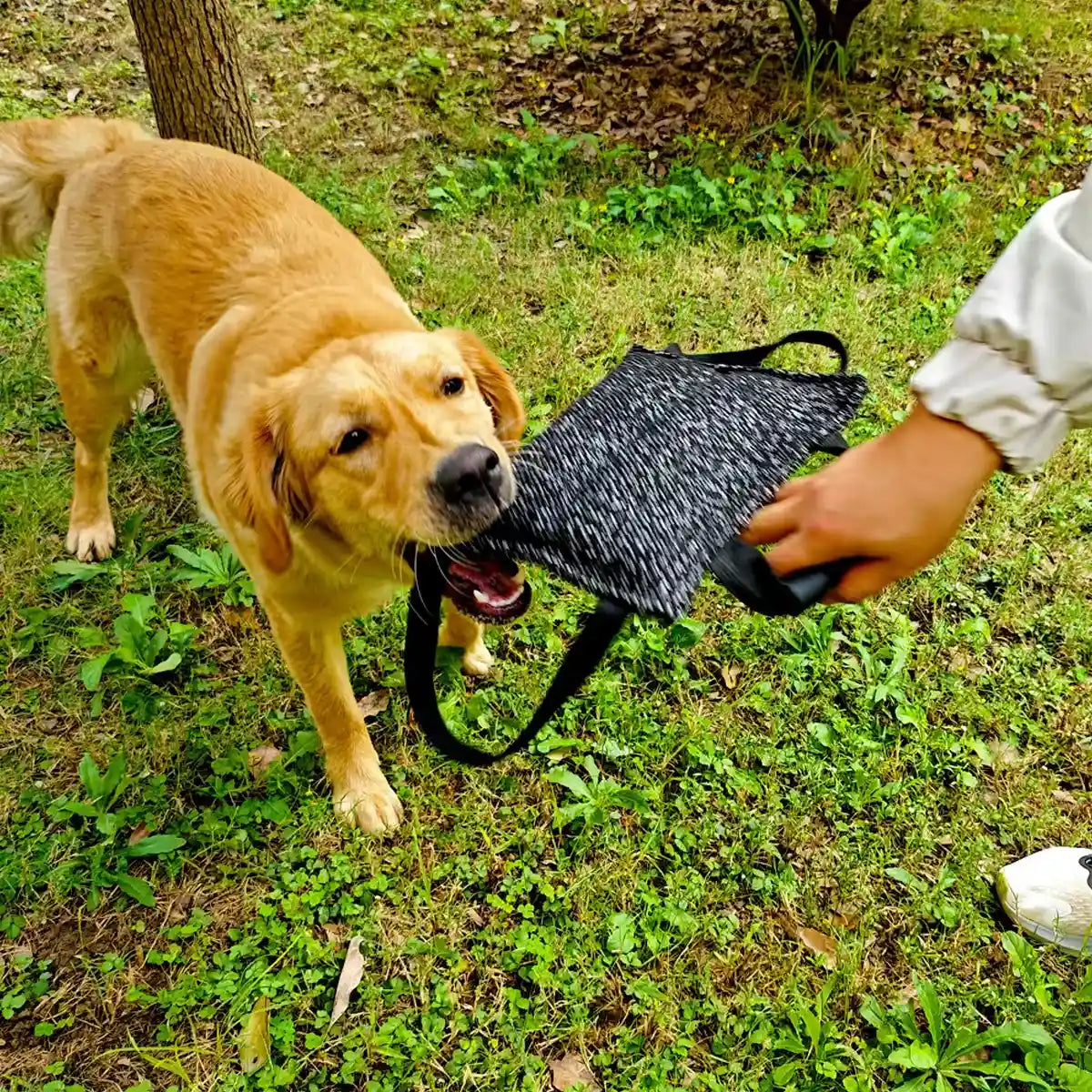 Durable Dog Chew Pillow Tug Toy Interactive Training Tool