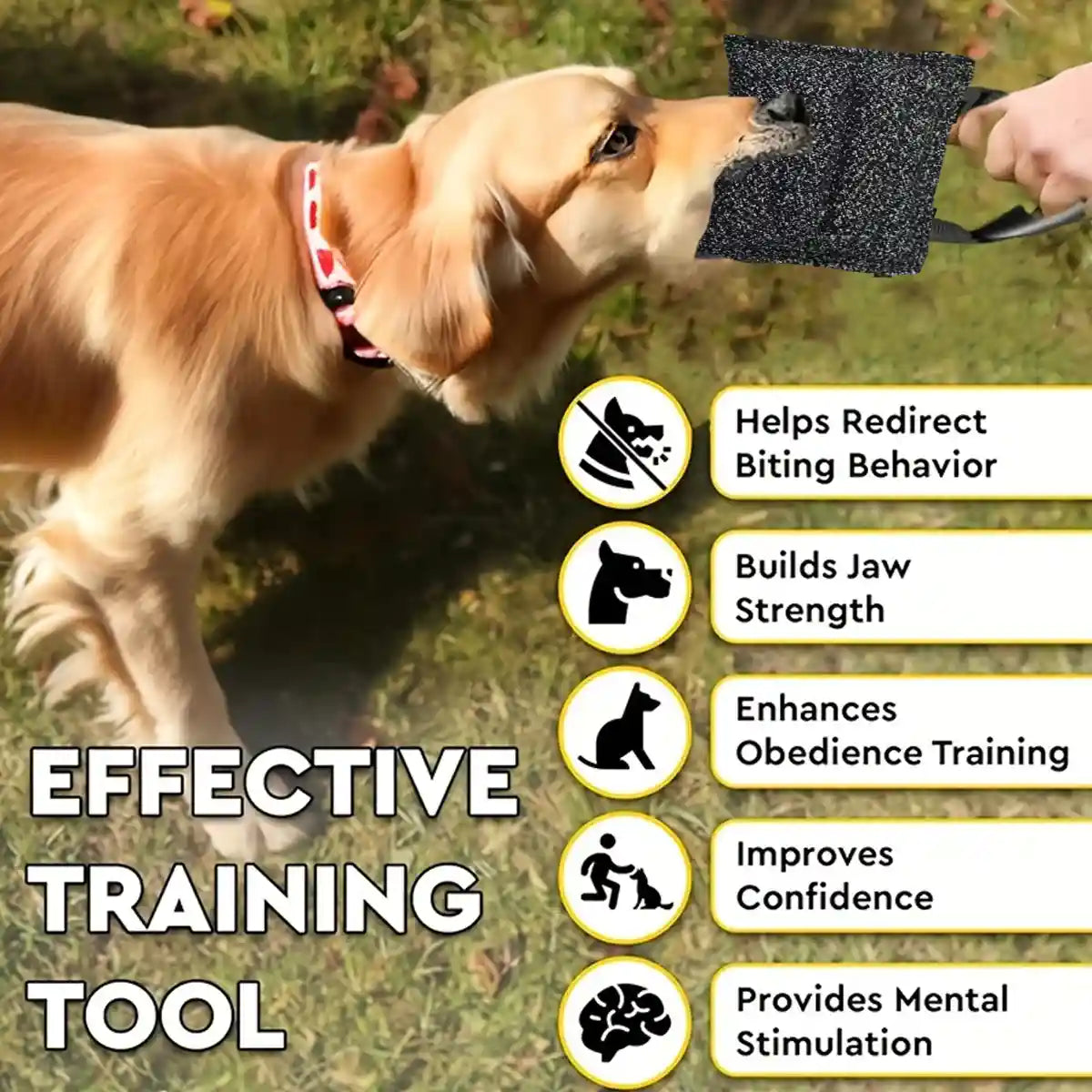 Durable Dog Chew Pillow Tug Toy Interactive Training Tool