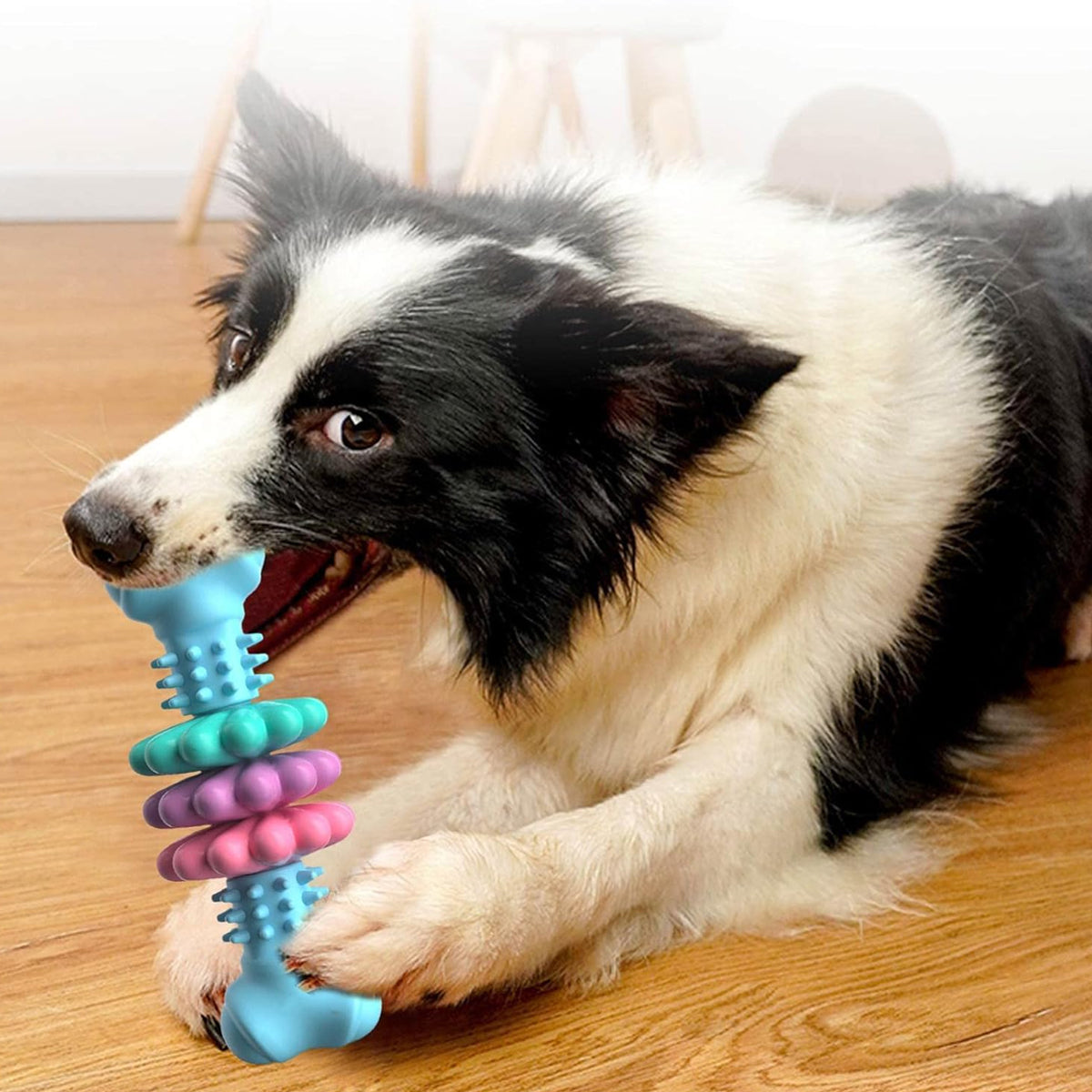 Dog Chew Toy For Teeth Cleaning