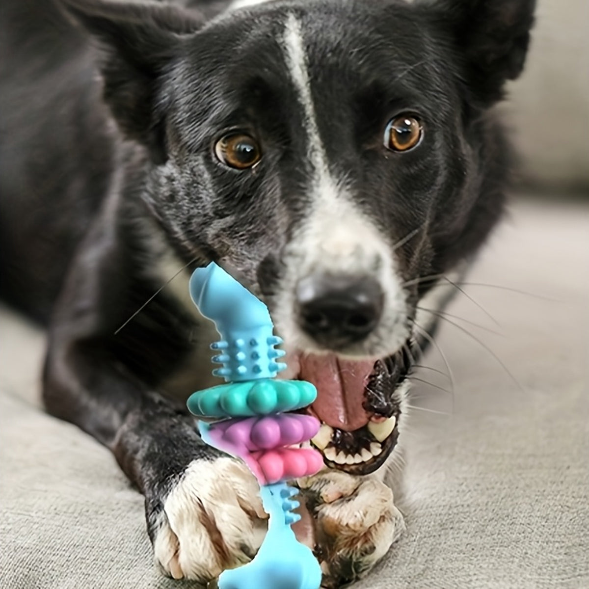 Dog Chew Toy For Teeth Cleaning
