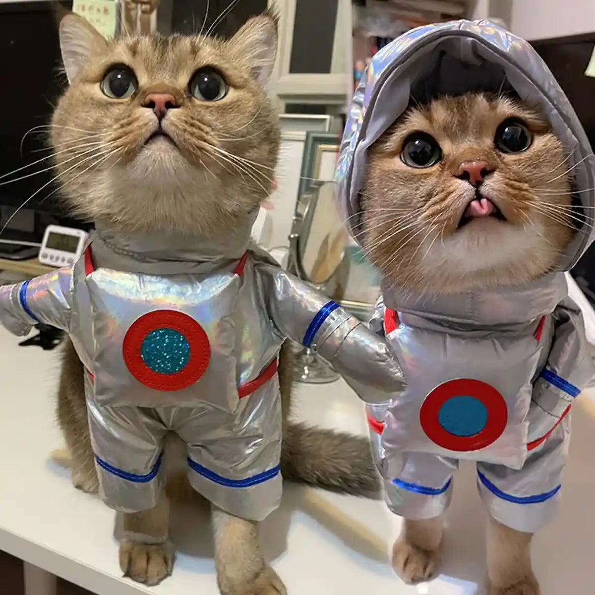 Pet Astronaut Costume Funny Space Suit for Cats & Small Dogs