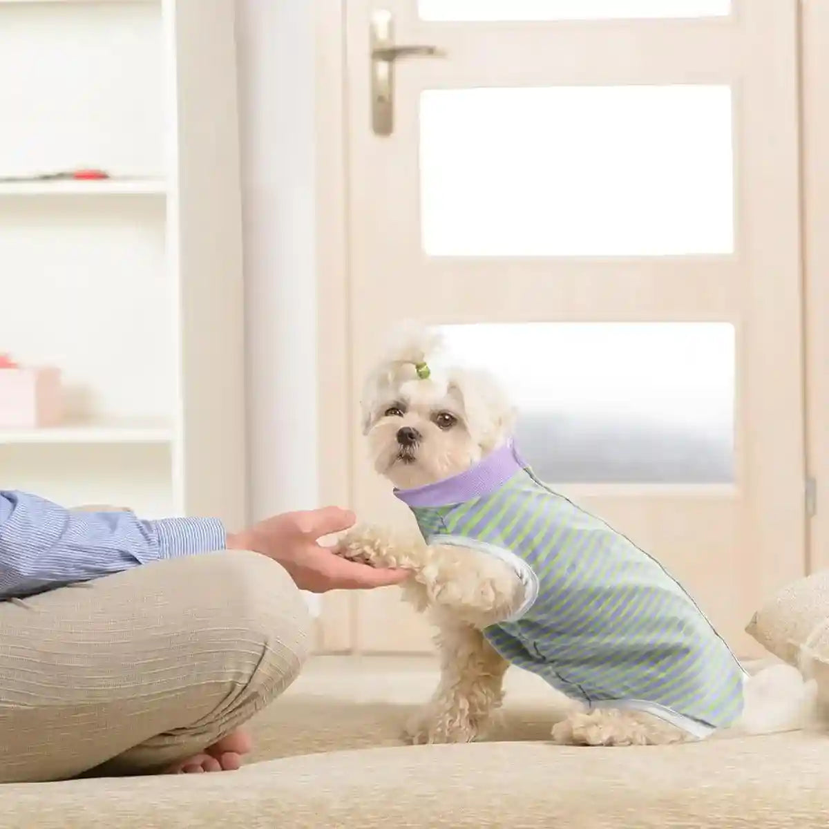 Dog Recovery Shirt Soft Breathable Post Surgery Wear for Female Dogs