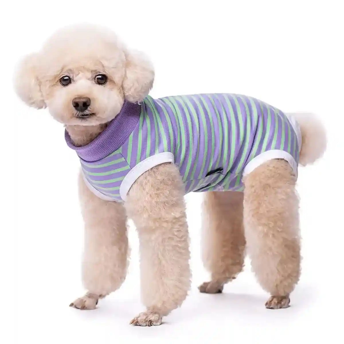 Dog Recovery Shirt Soft Breathable Post Surgery Wear for Female Dogs
