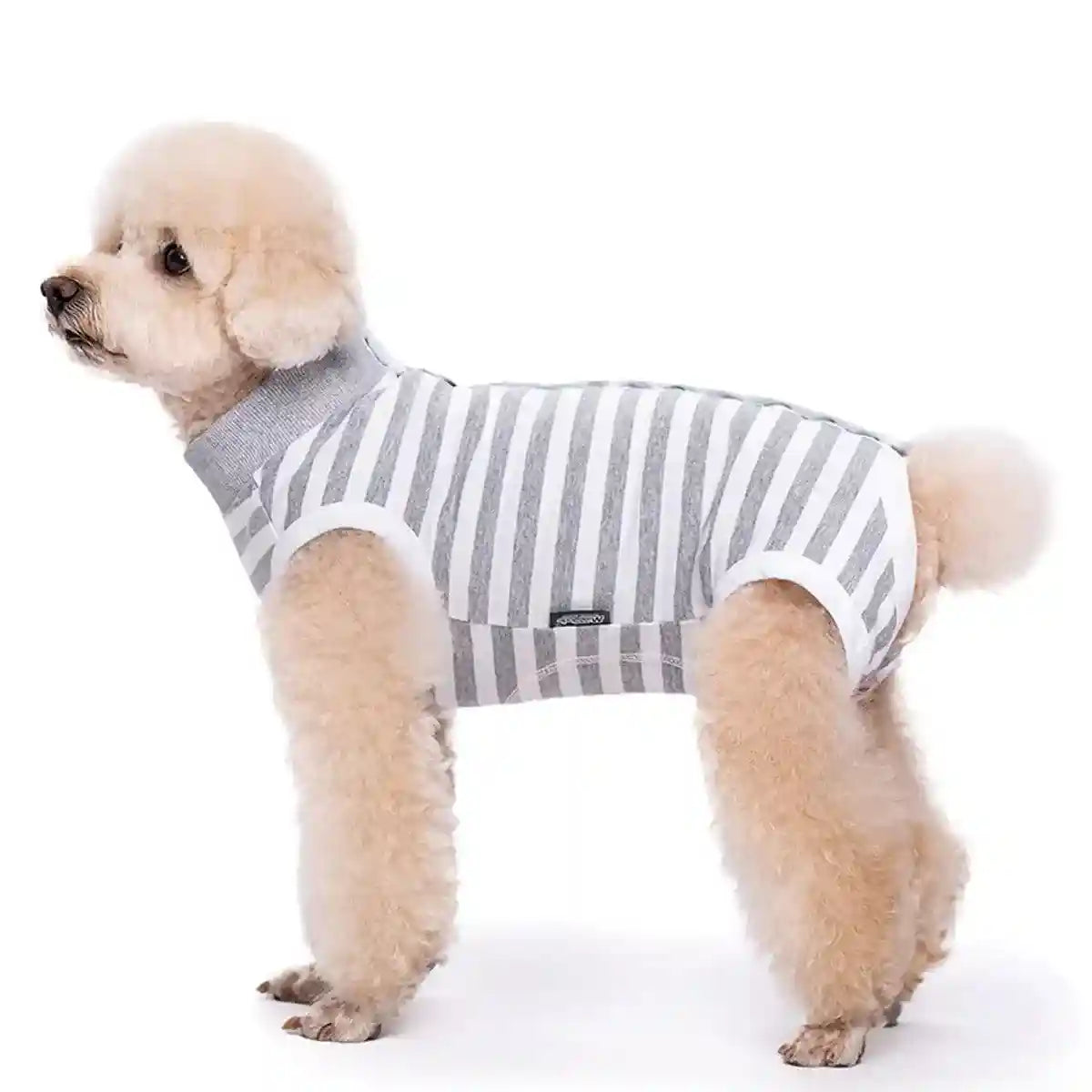 Dog Recovery Shirt Soft Breathable Post Surgery Wear for Female Dogs