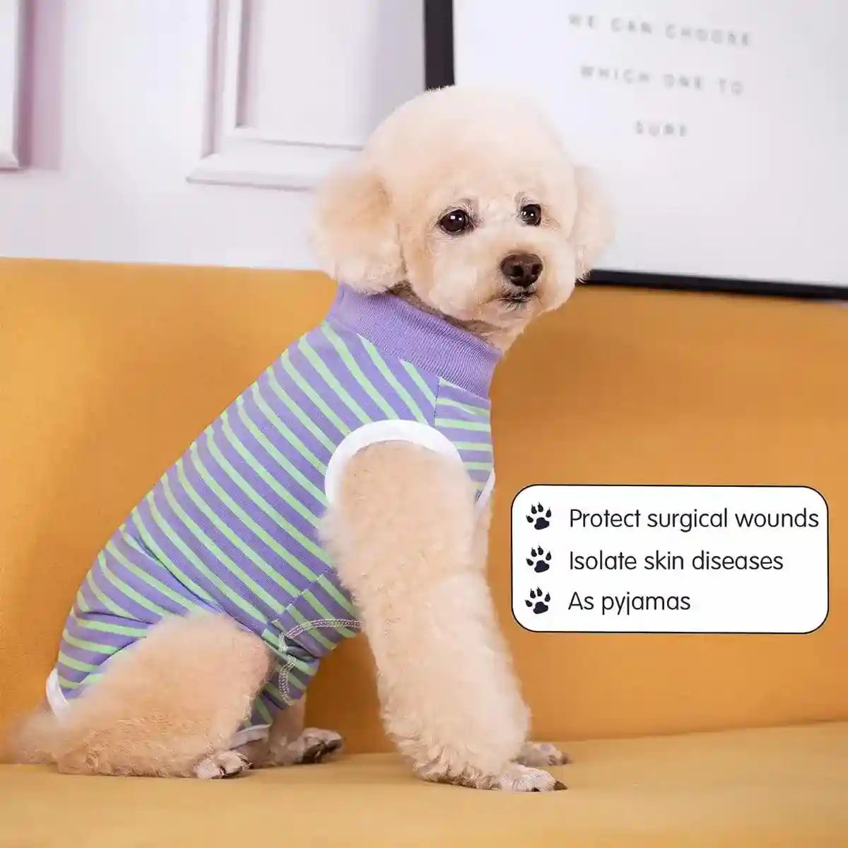 Dog Recovery Shirt Soft Breathable Post Surgery Wear for Female Dogs