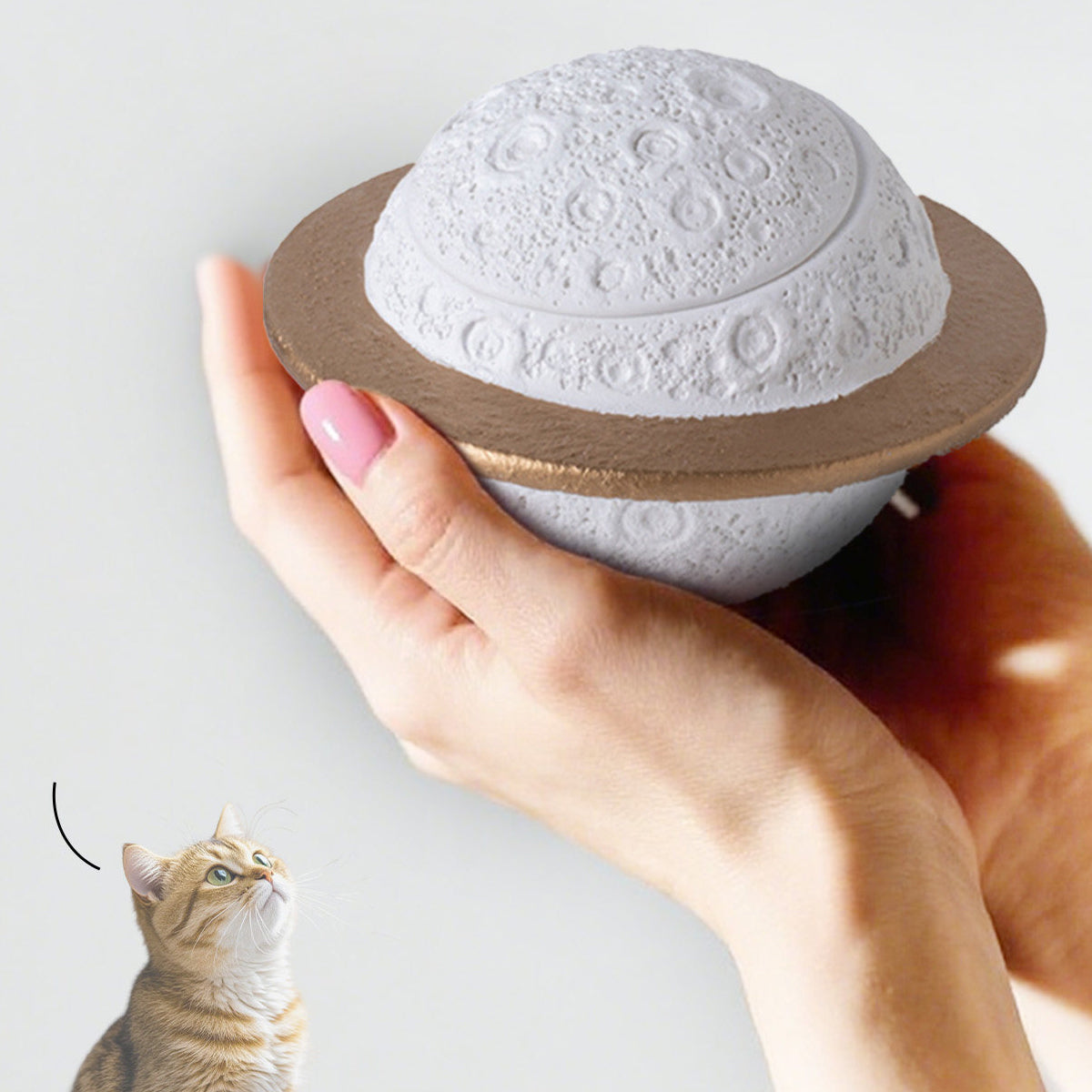 Planet Style Pet Cremation Urn for Dogs and Cats