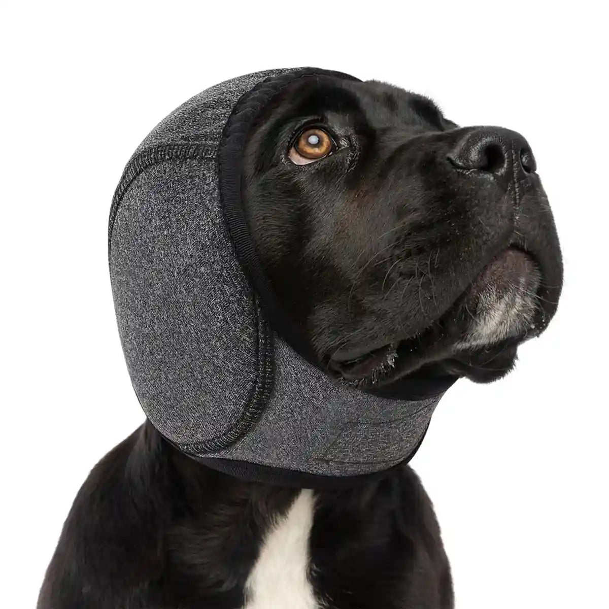 Dog Earmuffs Headgear Waterproof Noise-Reducing Comfort Hood