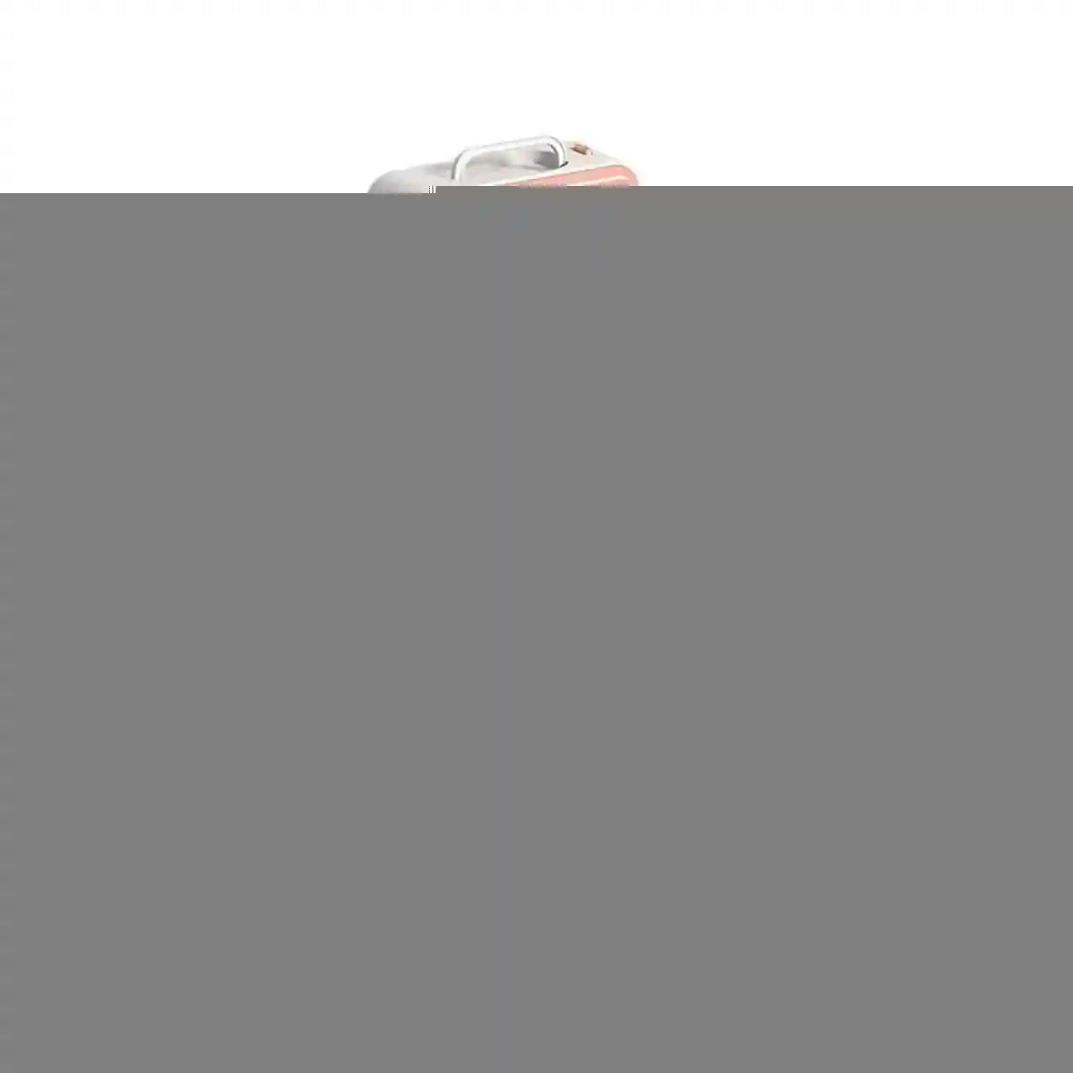 Portable Grooming Solution with Foldable Dog Dryer Box for Cats and Small Dogs