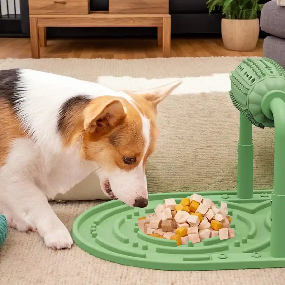Pet Puzzle Feeder Toy