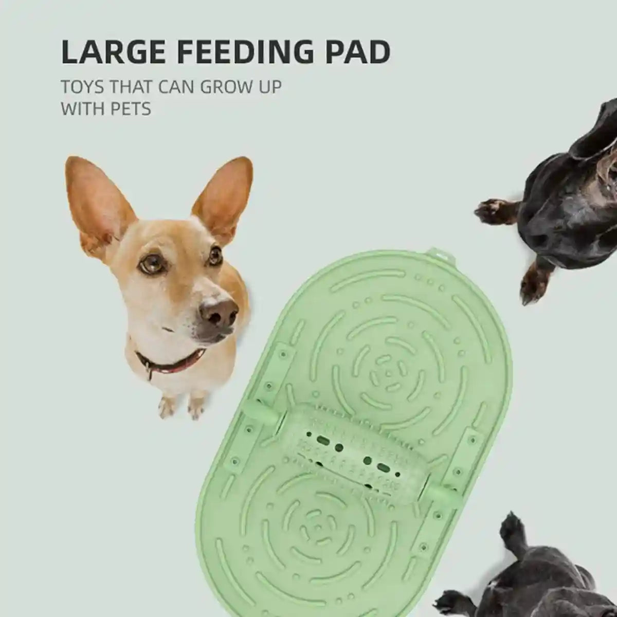 Pet Puzzle Feeder Toy
