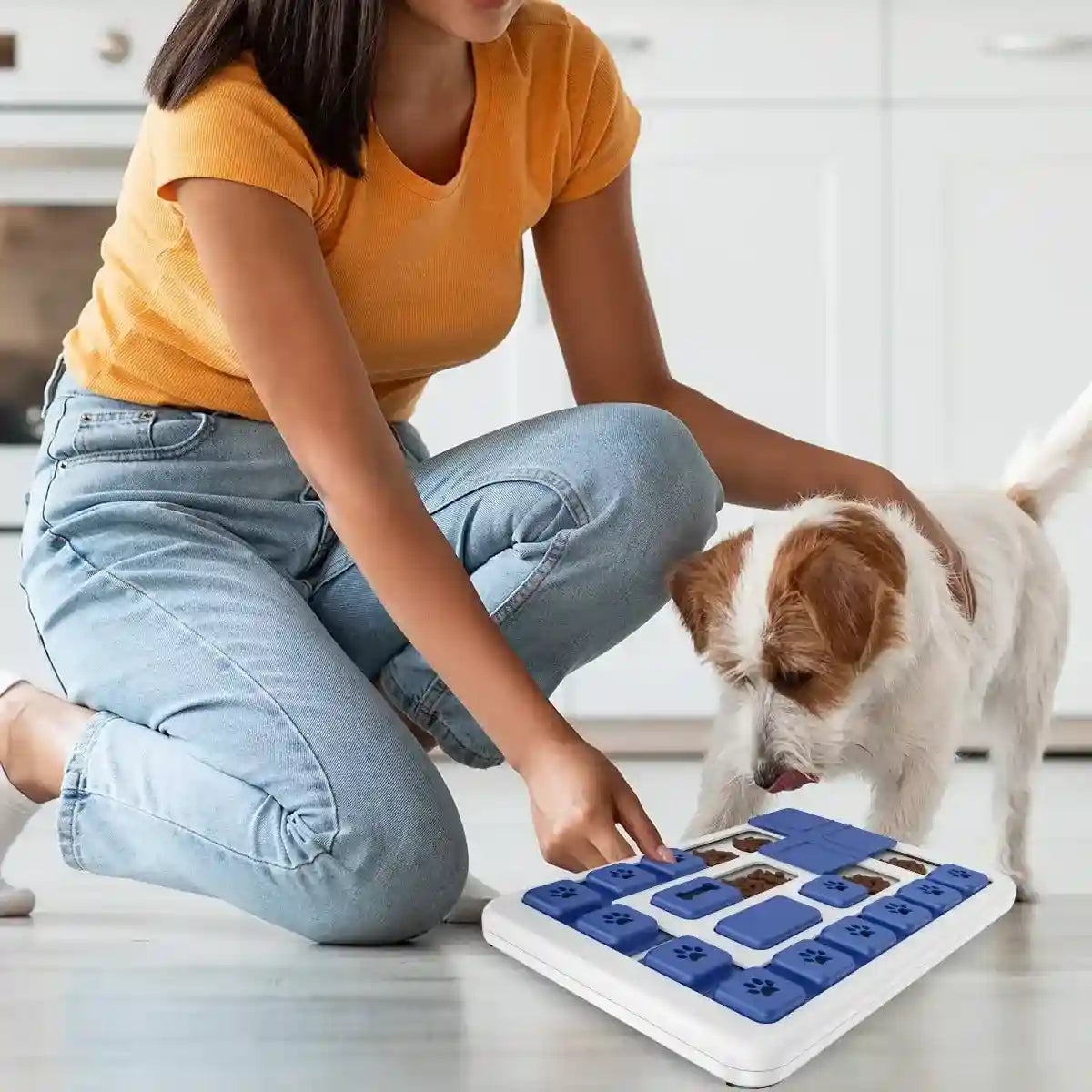Interactive Dog Puzzle Toy Slow Feeder Brain Game for Pets