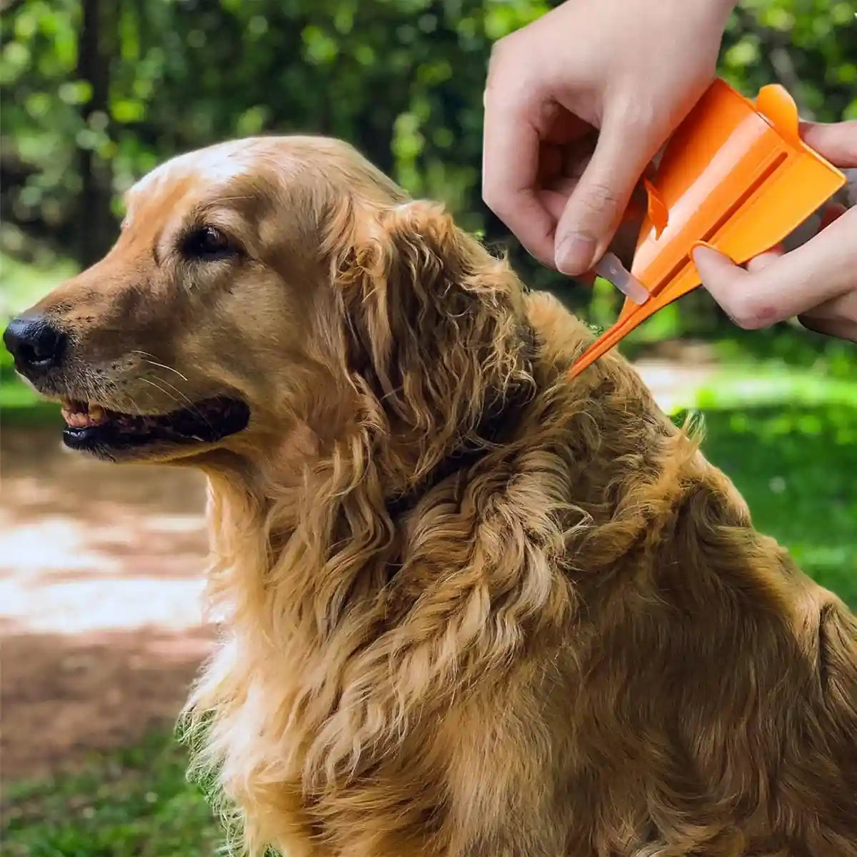 Pet Flea Dropper Applicator Tool Easy & Precise Pet Care