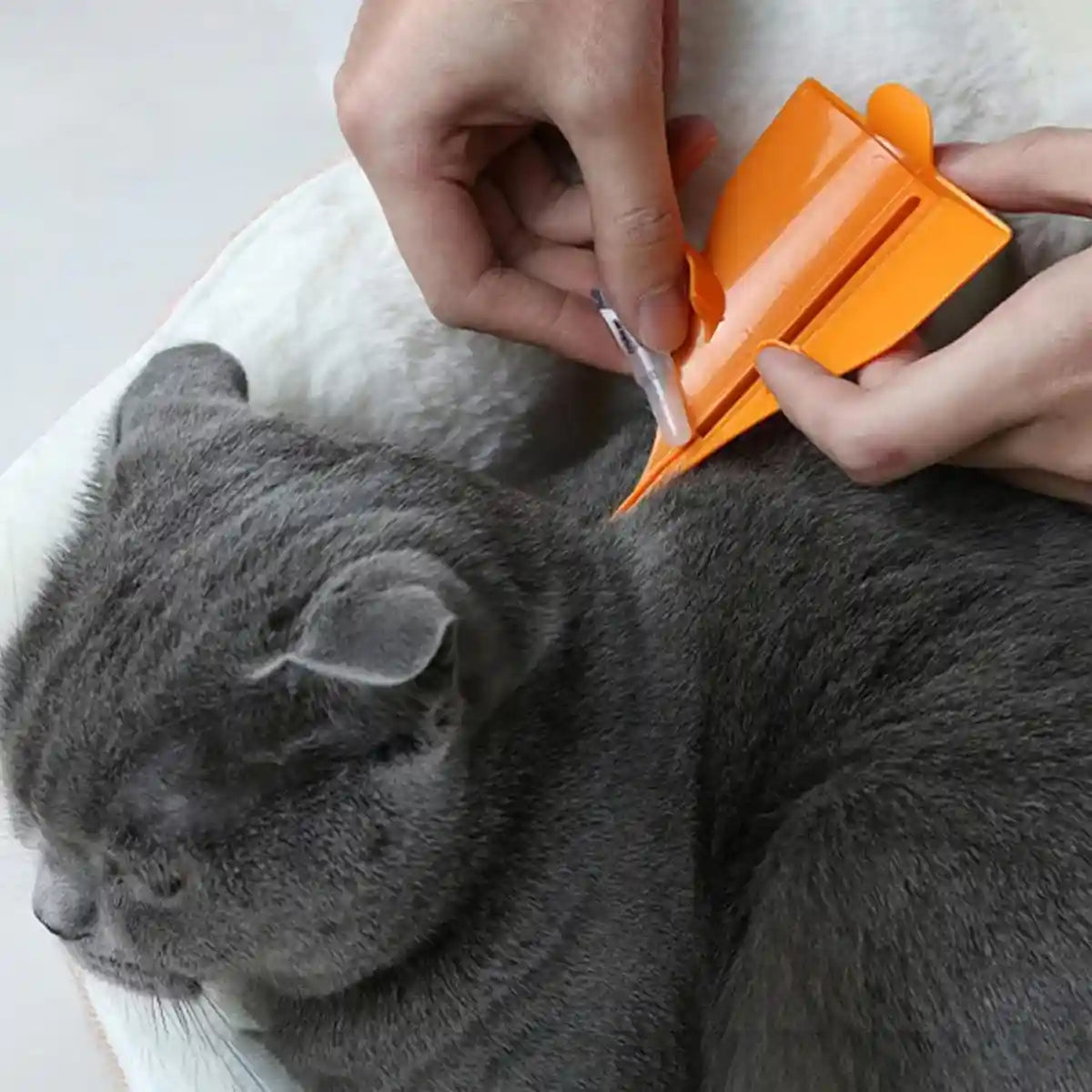 Pet Flea Dropper Applicator Tool Easy & Precise Pet Care