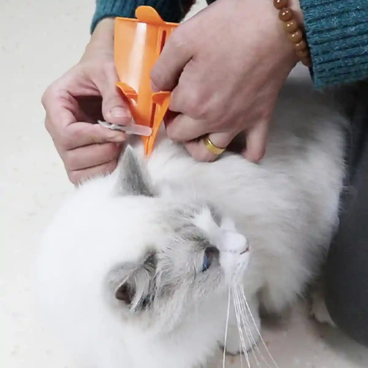 Pet Flea Dropper Applicator Tool Easy & Precise Pet Care