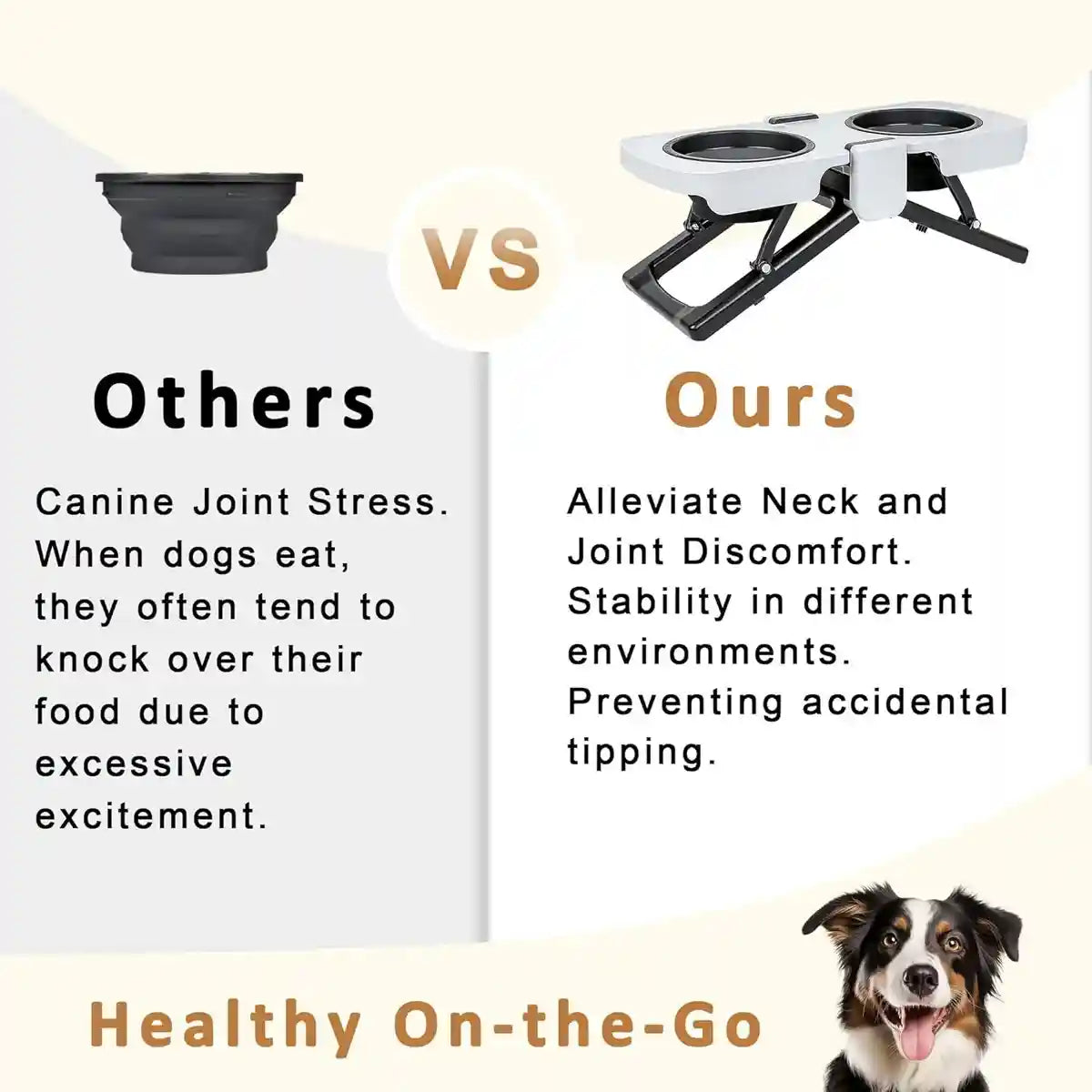 Foldable Elevated Double Pet Bowl