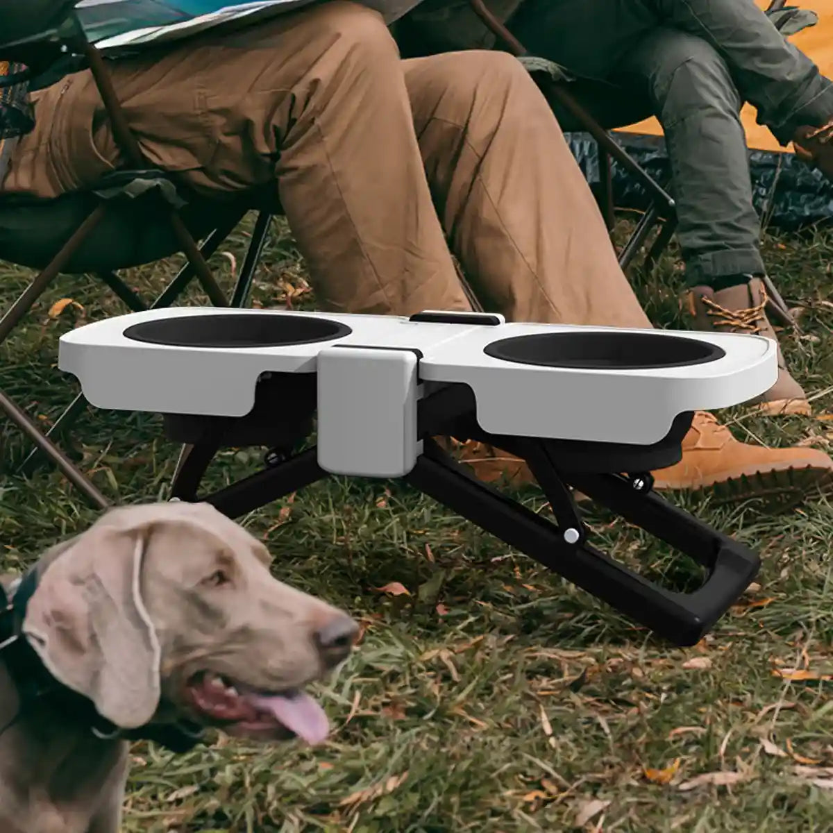 Foldable Elevated Double Pet Bowl