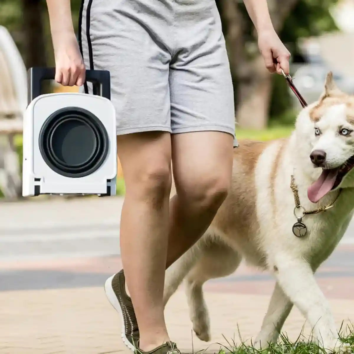 Foldable Elevated Double Pet Bowl