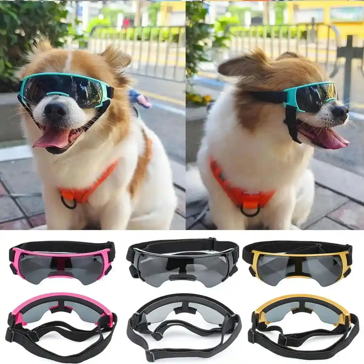 Outdoor UV-Protective Dog Sunglasses for Small and Medium Dogs