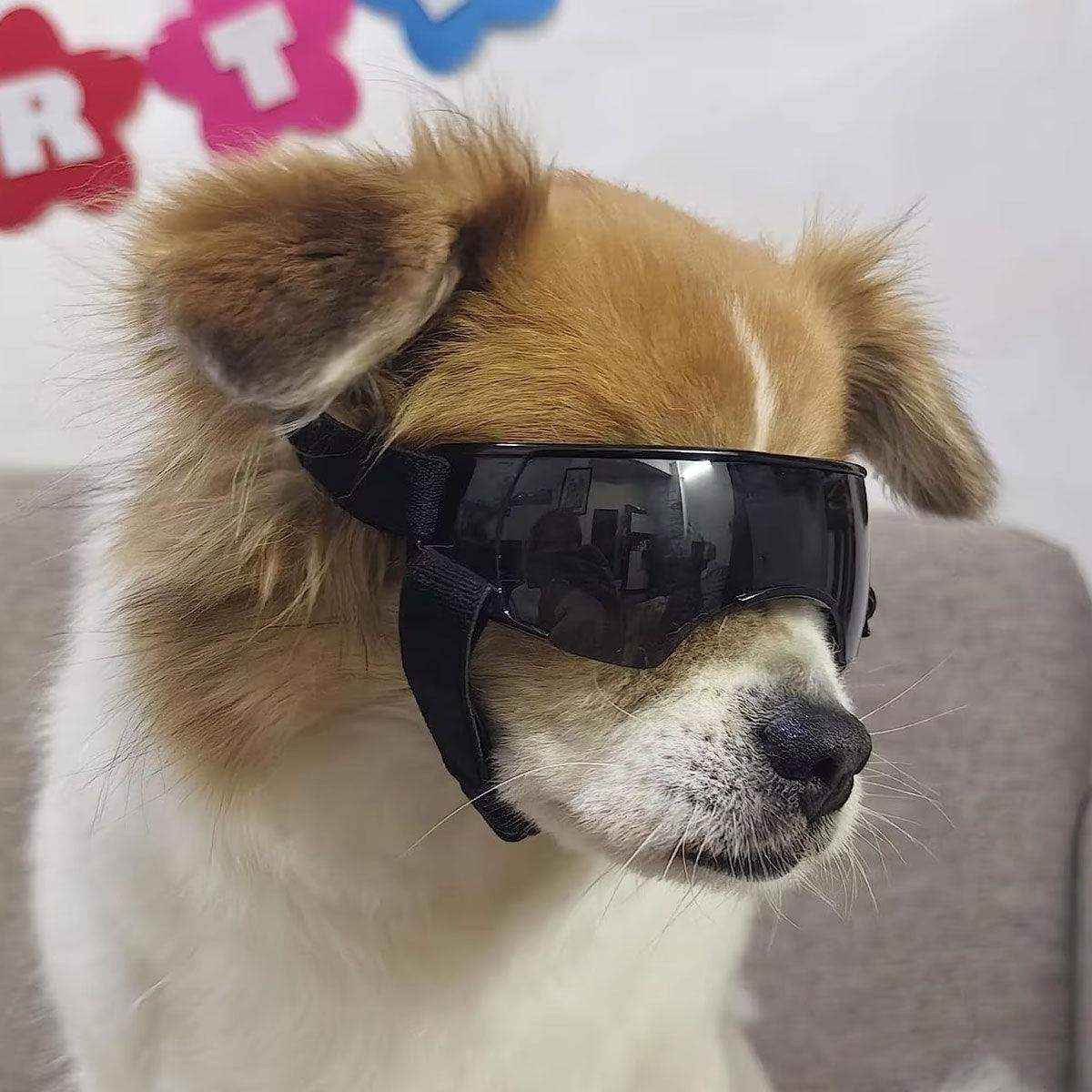 Outdoor UV-Protective Dog Sunglasses for Small and Medium Dogs