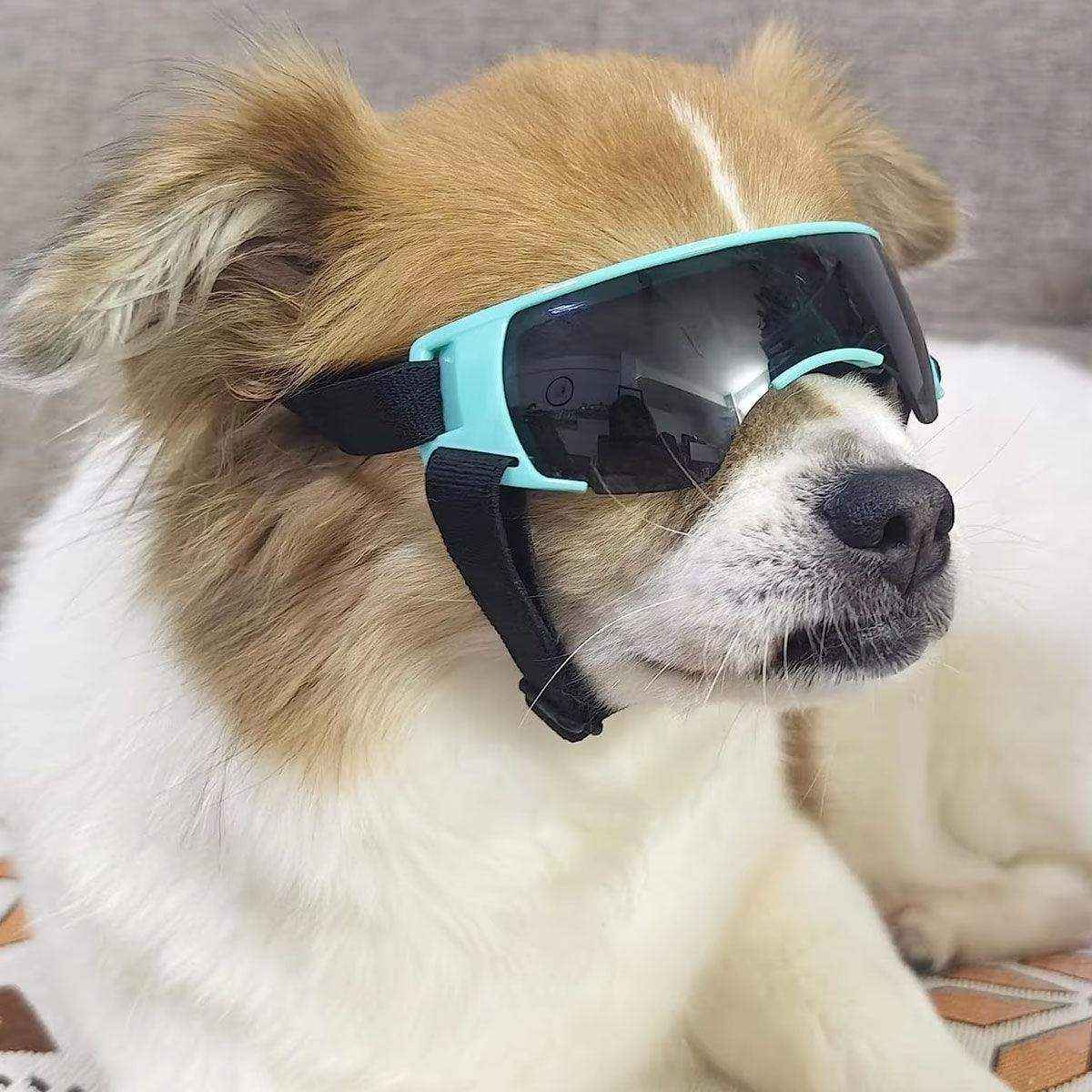 Outdoor UV-Protective Dog Sunglasses for Small and Medium Dogs