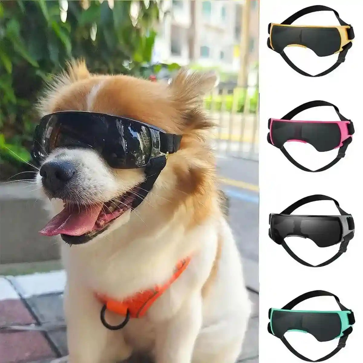 Outdoor UV-Protective Dog Sunglasses for Small and Medium Dogs