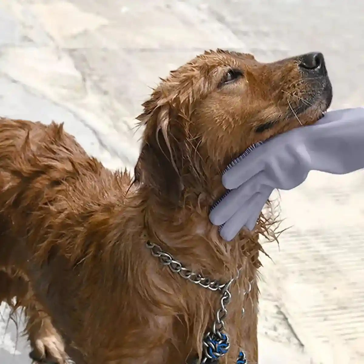 Extended Silicone Pet Bathing Gloves with Soft Brush Surface