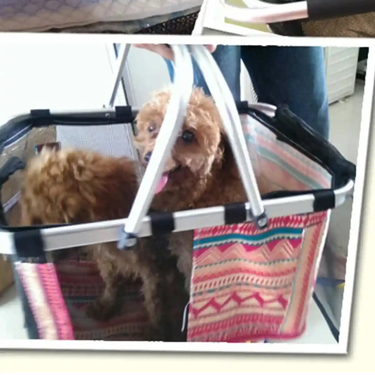 Foldable Mesh Pet Carrier Basket with Aluminium Handle