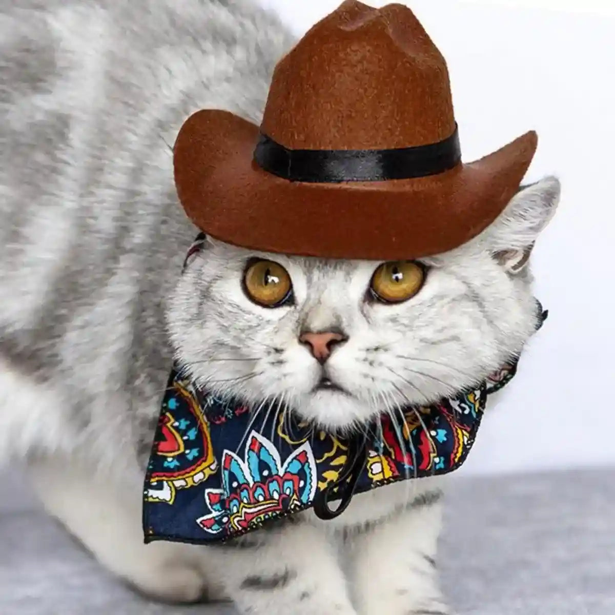 Adjustable Pet Cowboy Hat for Dogs and Cats Western Style Costume