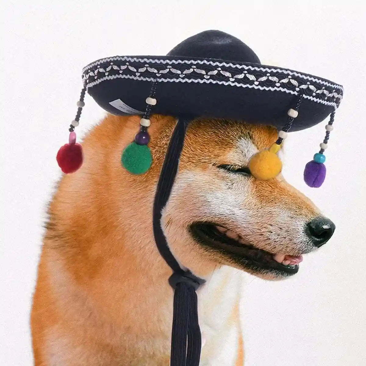 Mexican Pet Hat for Cats and Small Dogs Colorful Pom Poms Costume