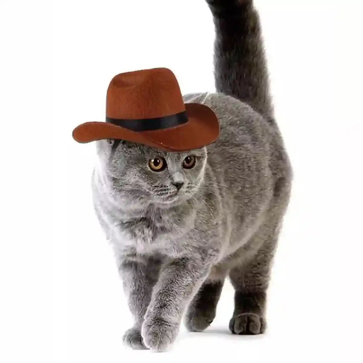 Adjustable Pet Cowboy Hat for Dogs and Cats Western Style Costume