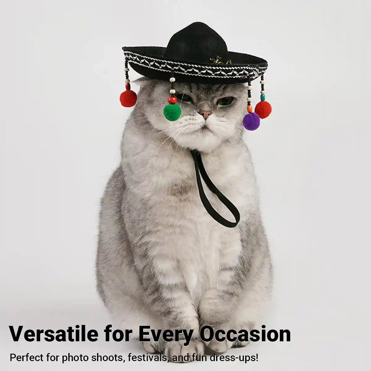 Mexican Pet Hat for Cats and Small Dogs Colorful Pom Poms Costume