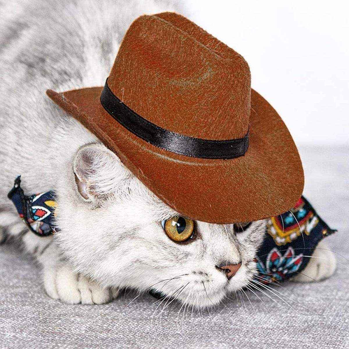 Adjustable Pet Cowboy Hat for Dogs and Cats Western Style Costume