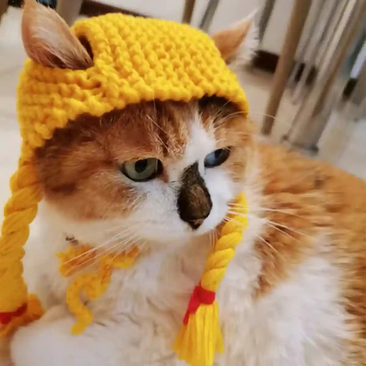 Braided Cat Hat Handmade Knitted Pet Wig