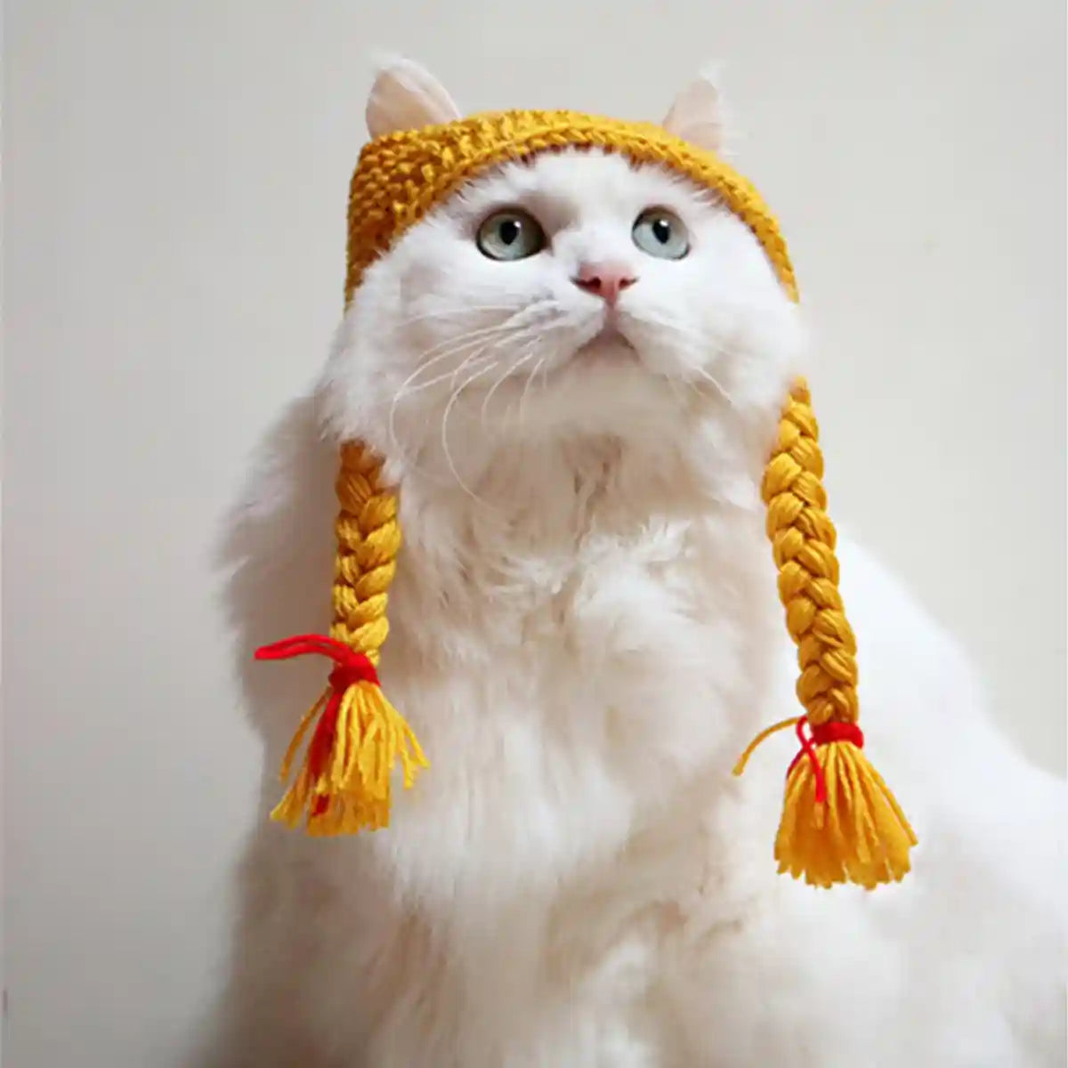 Braided Cat Hat Handmade Knitted Pet Wig