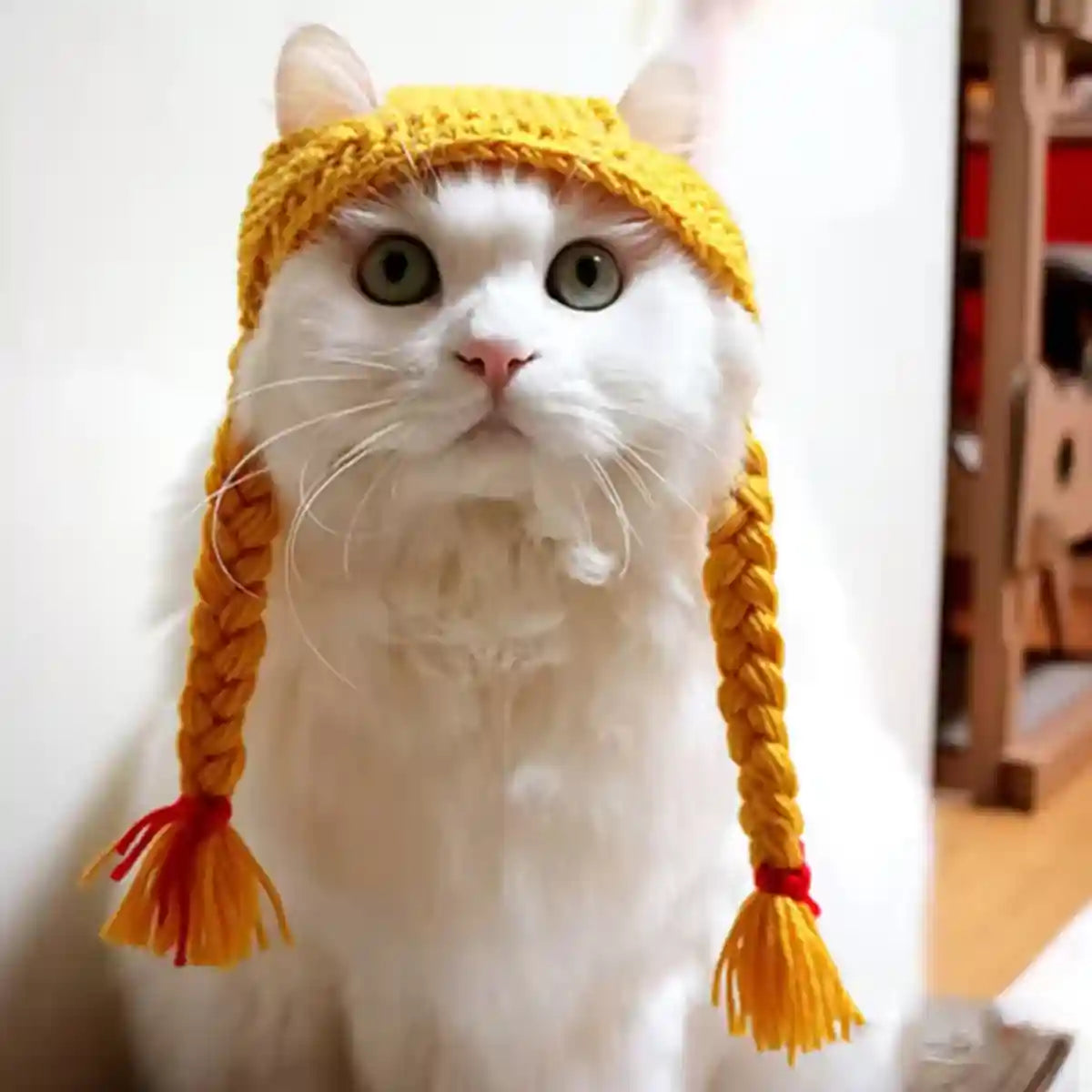 Braided Cat Hat Handmade Knitted Pet Wig