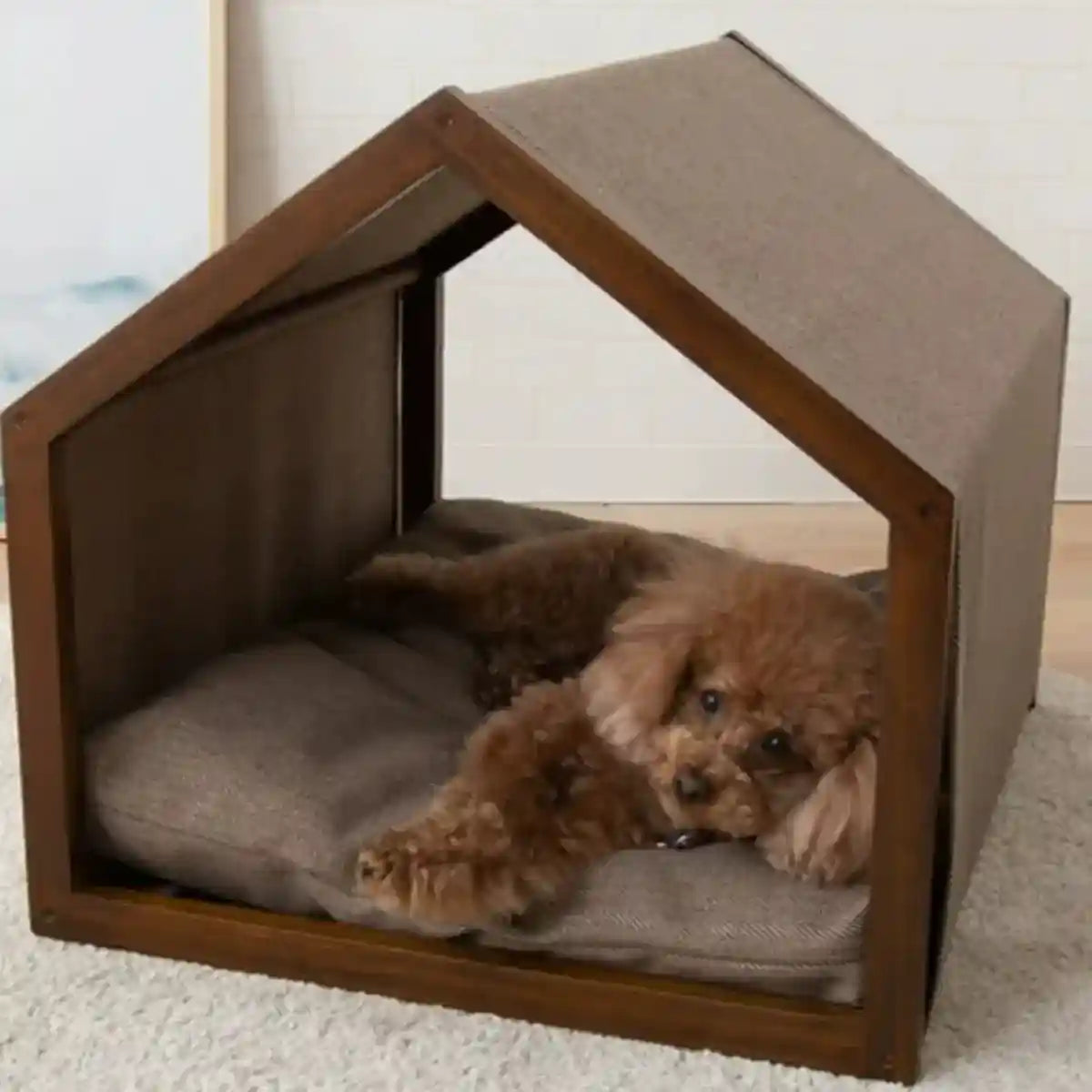 Modern Canvas Pet House for Small Dogs Washable Indoor Dog Bed