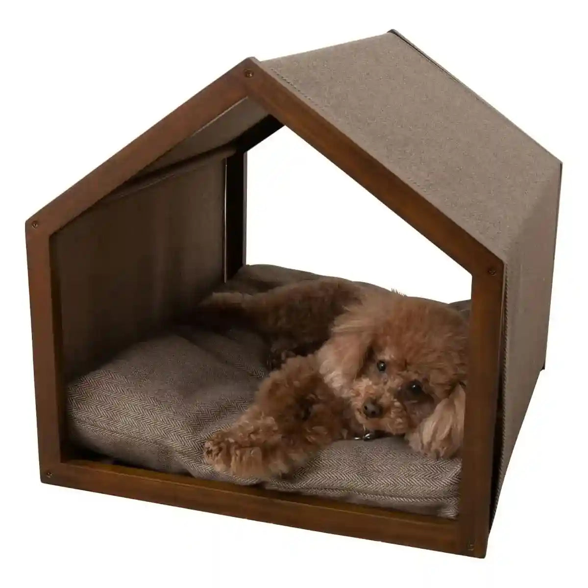 Modern Canvas Pet House for Small Dogs Washable Indoor Dog Bed
