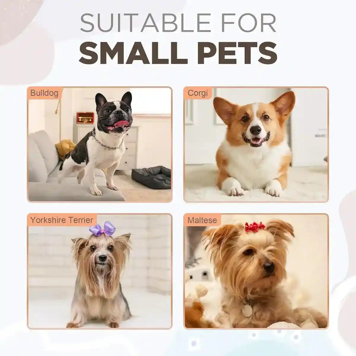 Modern Canvas Pet House for Small Dogs Washable Indoor Dog Bed