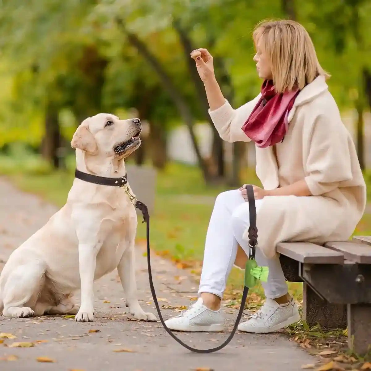 Durable Cowhide Dog Leash With Brass Clasp For Large Pets