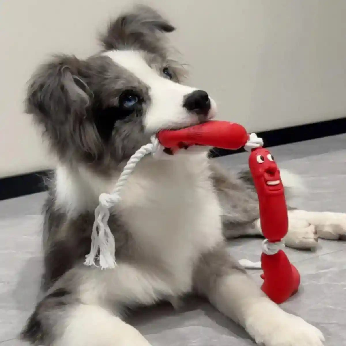 Durable Dog Chew Rope Toy Sausage Design for Small & Medium Breeds