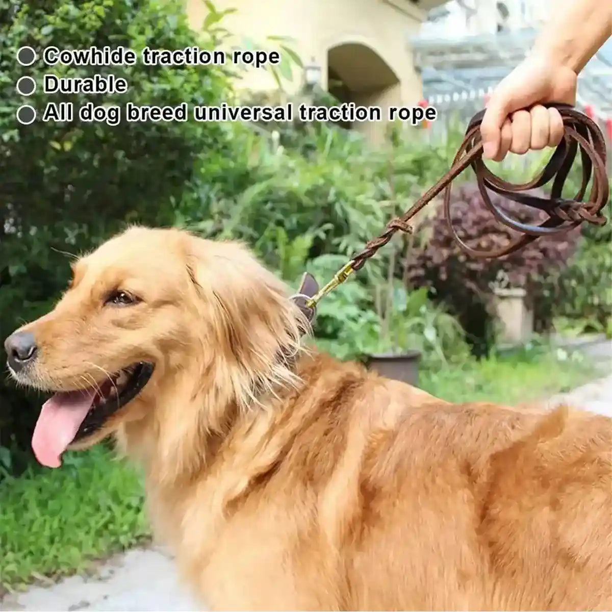 Durable Cowhide Dog Leash With Brass Clasp For Large Pets
