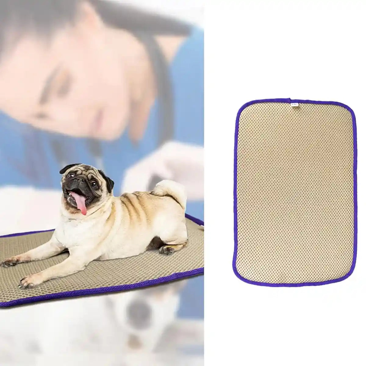 Waterproof Foldable Pet Picnic Mat Portable Dog Travel Mat