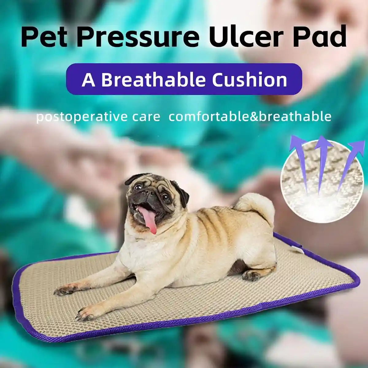 Waterproof Foldable Pet Picnic Mat Portable Dog Travel Mat